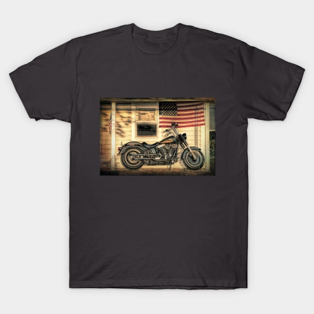 American Pride T-Shirt by robophoto